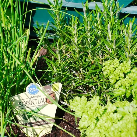 Ostseehaus Lägenhet Prerow